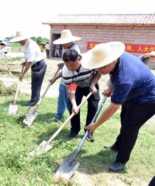 冷坑市场今日情况最新消息，冷坑新城区规划全地图