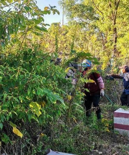 威海栖霞街中标公告最新，威海栖霞街什么时候建完